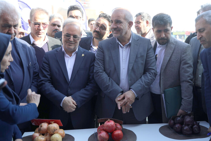 حضور در افتتاحییه چهارمین نمایشگاه جشنواره انار ساوه