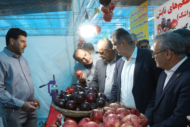 حضور در افتتاحییه چهارمین نمایشگاه جشنواره انار ساوه