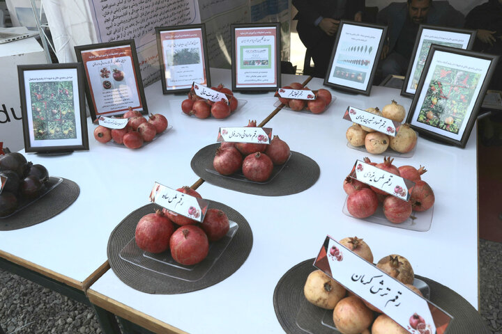 حضور در افتتاحییه چهارمین نمایشگاه جشنواره انار ساوه