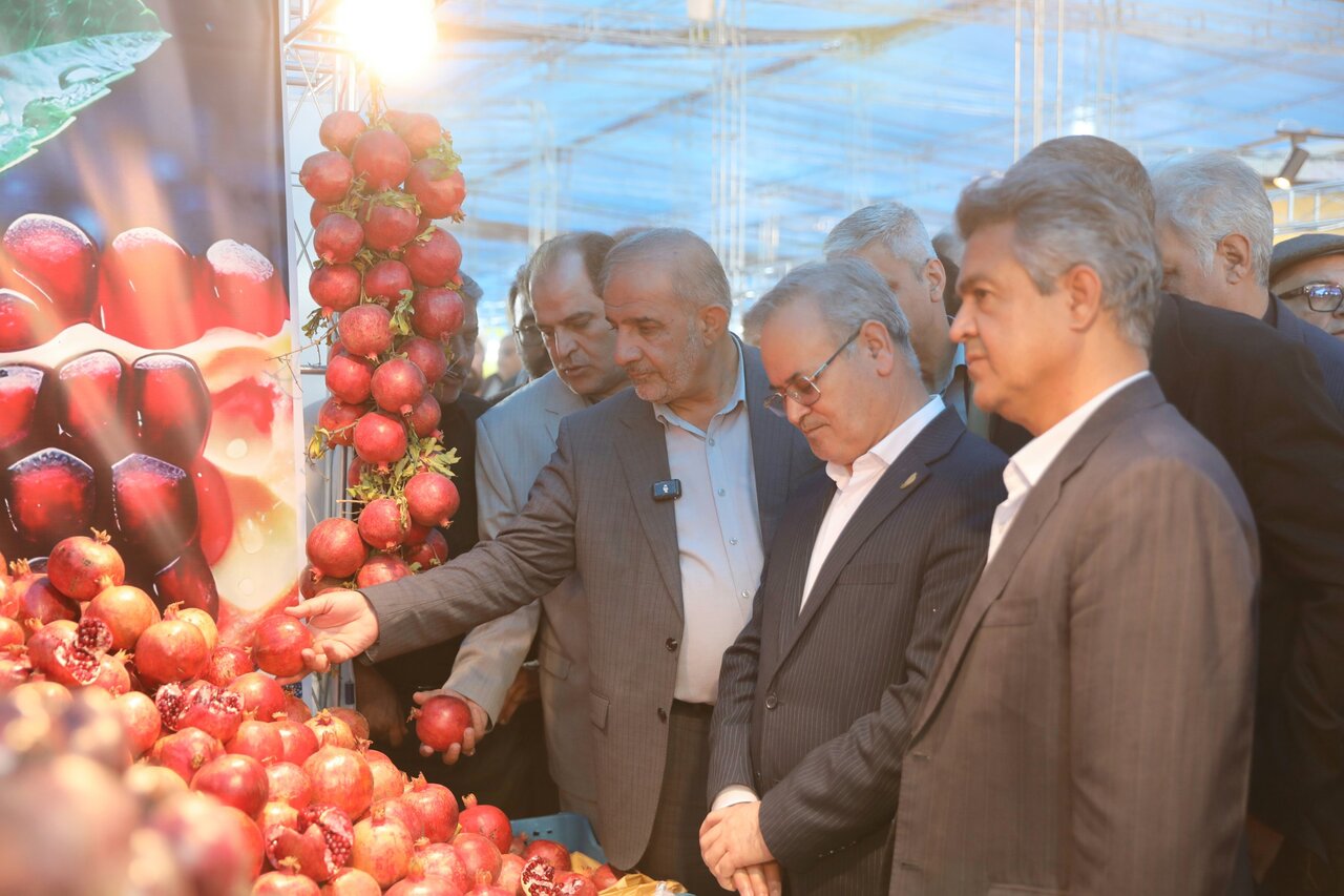 افتتاح نمایشگاه چهارمین جشنواره ملی انار ساوه