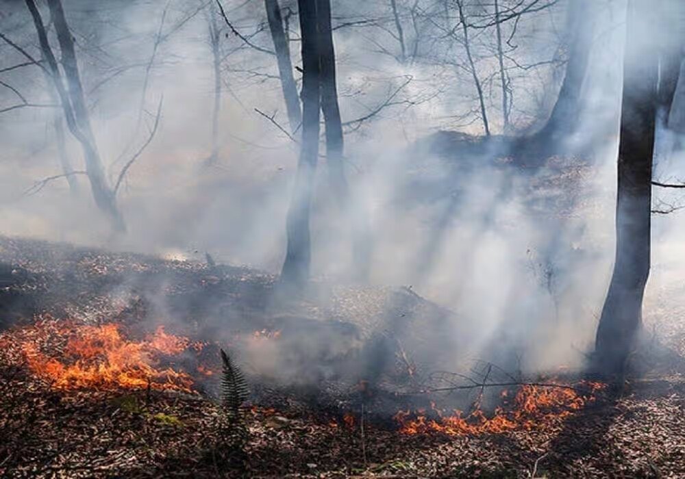 ایستادگی دستگاه‌های اجرایی در اوج کمبودها قابل تقدیر است/ ضرورت تقویت تجهیزات اطفای حریق و مدیریت بحران