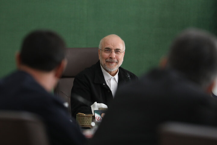 نشست اعضای شورای  اتحادیه بین المجالس جهانی(ipu) در مجلس شورای اسلامی با رئیس مجلس شورای اسلامی