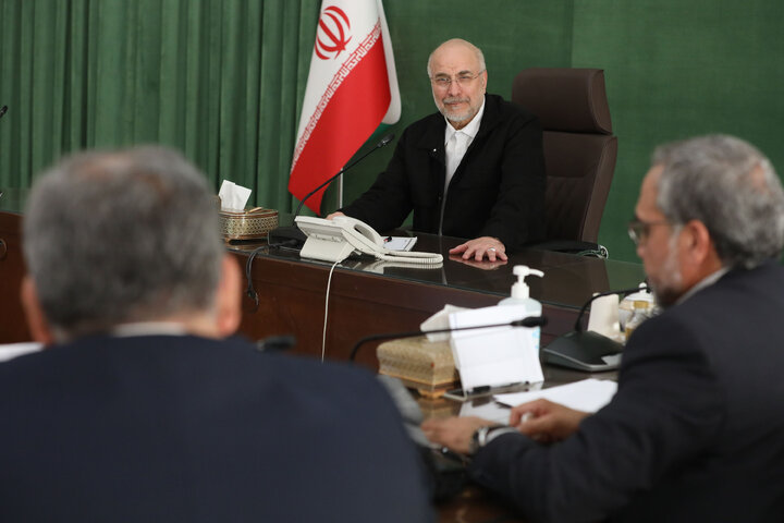 نشست اعضای شورای  اتحادیه بین المجالس جهانی(ipu) در مجلس شورای اسلامی با رئیس مجلس شورای اسلامی