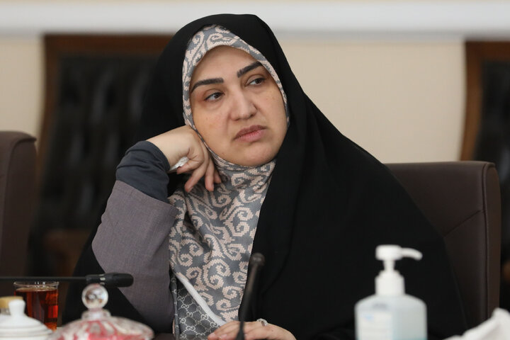 نشست اعضای شورای  اتحادیه بین المجالس جهانی(ipu) در مجلس شورای اسلامی با رئیس مجلس شورای اسلامی