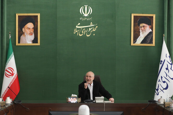 نشست اعضای شورای  اتحادیه بین المجالس جهانی(ipu) در مجلس شورای اسلامی با رئیس مجلس شورای اسلامی