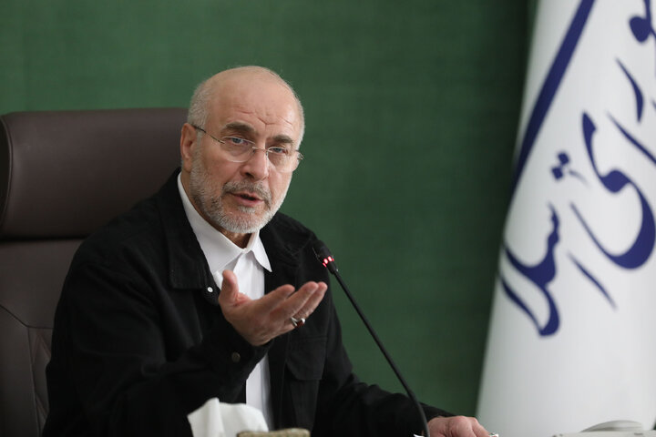 نشست اعضای شورای  اتحادیه بین المجالس جهانی(ipu) در مجلس شورای اسلامی با رئیس مجلس شورای اسلامی