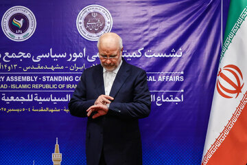 دیدار رؤسای هیئت‌های پارلمانی نشست کمیته سیاسی APA با دکتر قالیباف