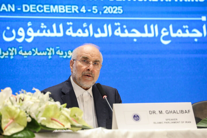 افتتاحیه نشست کمیته دائمی امور سیاسی مجمع مجالس آسیایی (APA) در مشهد مقدس - 2