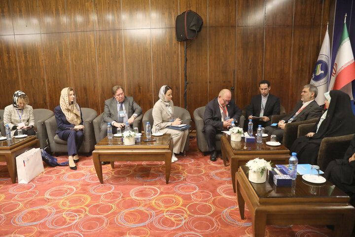 دیدار زنگنه رئیس کمیته سیاسی مجالس آسیایی با نماینده روسیه