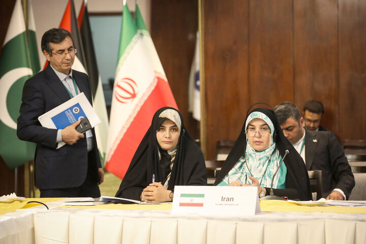 نشست کمیته دائمی امور سیاسی مجمع مجالس آسیایی (APA) در مشهد