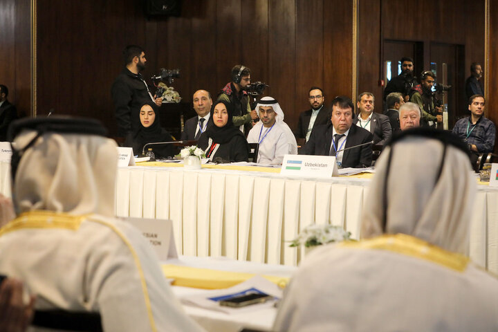 نشست کمیته دائمی امور سیاسی مجمع مجالس آسیایی (APA) در مشهد