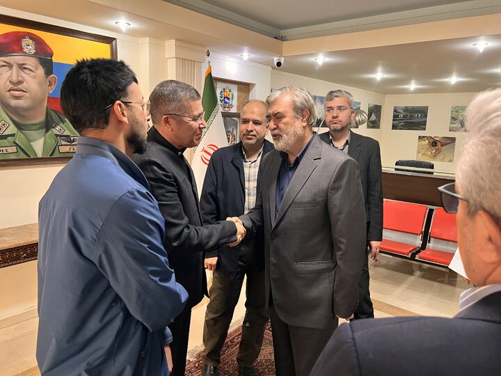 دیدار اعضای کمیسیون امنیت ملی و سیاست خارجی مجلس با سفیر ونزوئلا