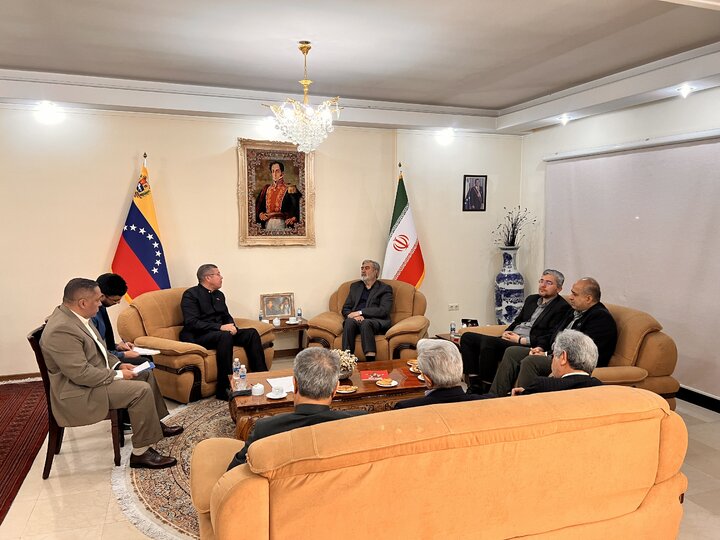 دیدار اعضای کمیسیون امنیت ملی و سیاست خارجی مجلس با سفیر ونزوئلا