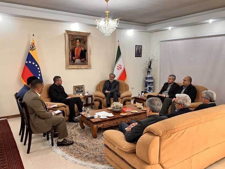 دیدار اعضای کمیسیون امنیت ملی و سیاست خارجی مجلس با سفیر ونزوئلا