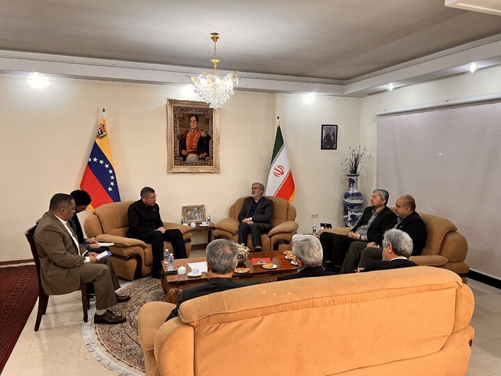 دیدار اعضای کمیسیون امنیت ملی و سیاست خارجی مجلس با سفیر ونزوئلا
