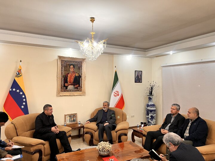 دیدار اعضای کمیسیون امنیت ملی و سیاست خارجی مجلس با سفیر ونزوئلا