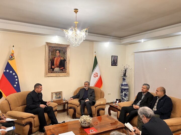 دیدار اعضای کمیسیون امنیت ملی و سیاست خارجی مجلس با سفیر ونزوئلا