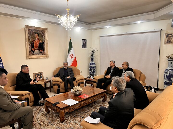 دیدار اعضای کمیسیون امنیت ملی و سیاست خارجی مجلس با سفیر ونزوئلا