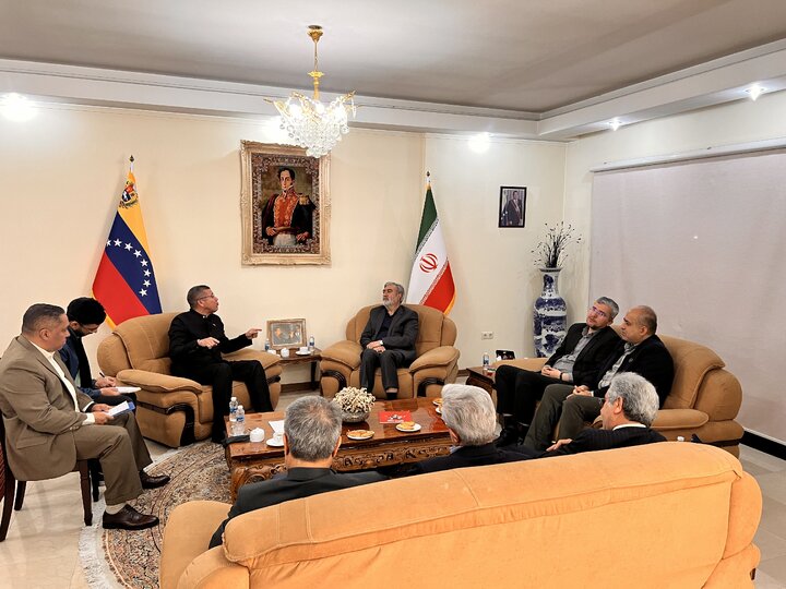 دیدار اعضای کمیسیون امنیت ملی و سیاست خارجی مجلس با سفیر ونزوئلا