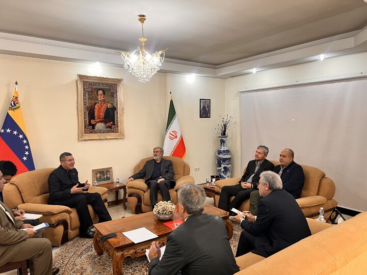دیدار اعضای کمیسیون امنیت ملی و سیاست خارجی مجلس با سفیر ونزوئلا