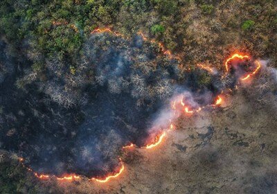 عباس گودرزی