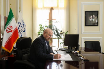 پیام تسلیت رئیس مجلس در پی درگذشت اشرف بروجردی