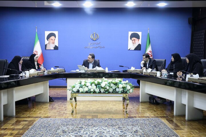 دیدار اعضای فراکسیون زنان با وزیر صمت