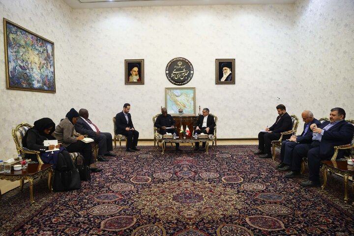 دیدار صدیف بدری با قائم مقام وزیر خارجه زیمباوه