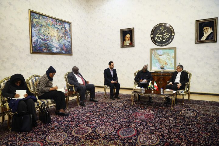 دیدار صدیف بدری با قائم مقام وزیر خارجه زیمباوه