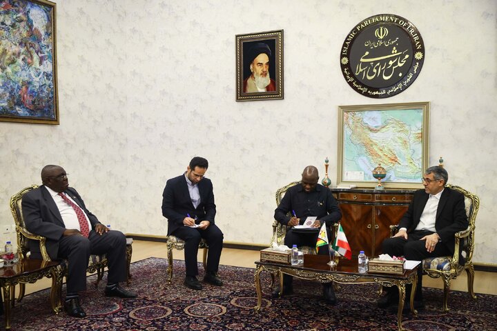 دیدار صدیف بدری با قائم مقام وزیر خارجه زیمباوه