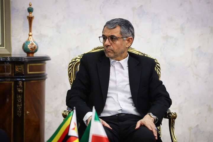 دیدار صدیف بدری با قائم مقام وزیر خارجه زیمباوه