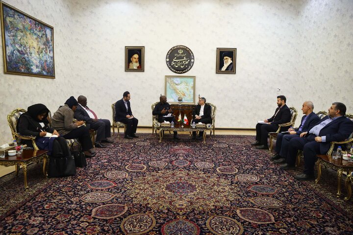 دیدار صدیف بدری با قائم مقام وزیر خارجه زیمباوه