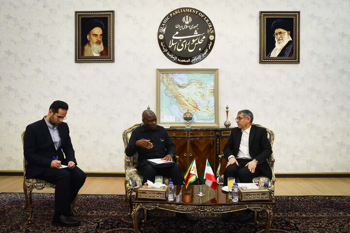 دیدار صدیف بدری با قائم مقام وزیر خارجه زیمباوه