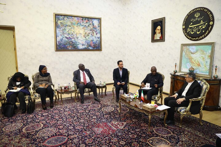 دیدار صدیف بدری با قائم مقام وزیر خارجه زیمباوه