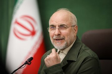 دیدار اعضای فراکسیون زنان مجلس با دکتر قالیباف