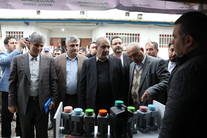 دیدار اعضای کمیسیون کشاورزی با صادرکنندگان کیوی استان گیلان