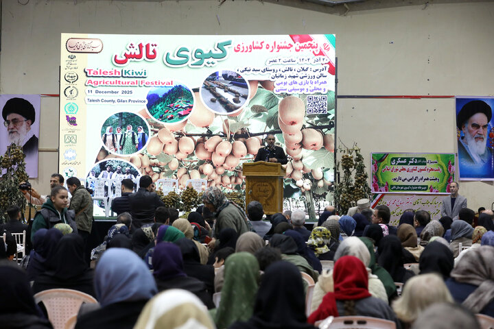 دیدار اعضای کمیسیون کشاورزی با صادرکنندگان کیوی استان گیلان