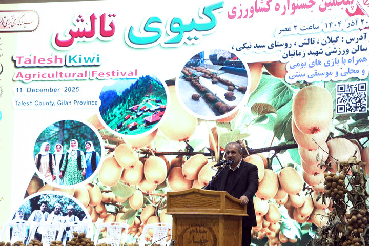 دیدار اعضای کمیسیون کشاورزی با صادرکنندگان کیوی استان گیلان