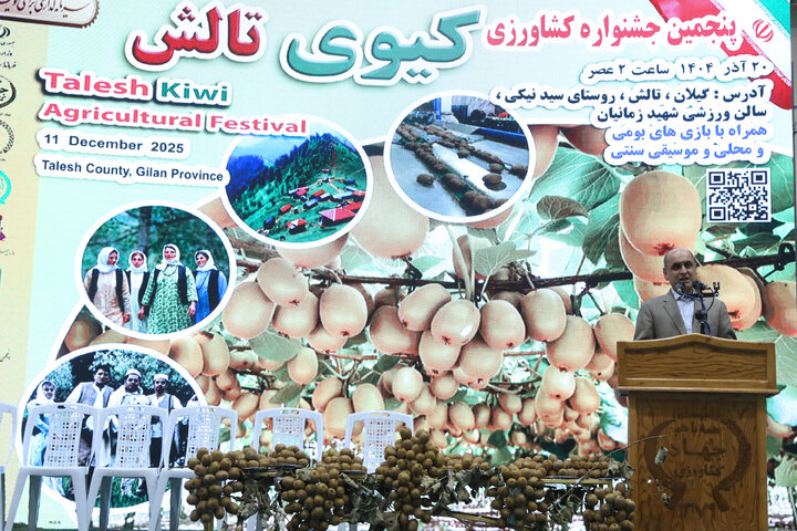 دیدار اعضای کمیسیون کشاورزی با صادرکنندگان کیوی استان گیلان