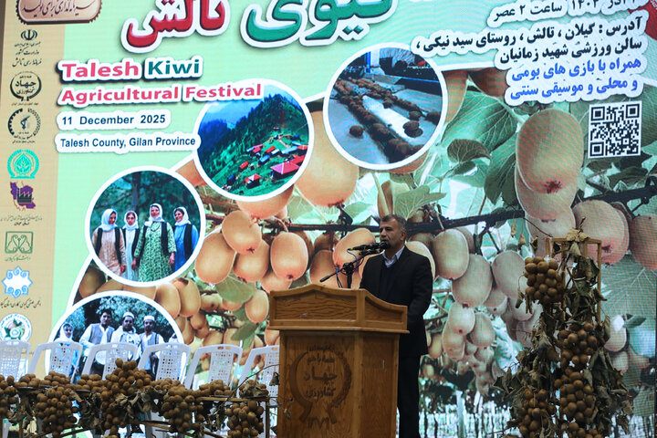 دیدار اعضای کمیسیون کشاورزی با صادرکنندگان کیوی استان گیلان