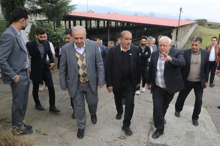 بازدید اعضای کمیسیون کشاورزی از مزرعه پرورش ماهیان خاویاری تالش