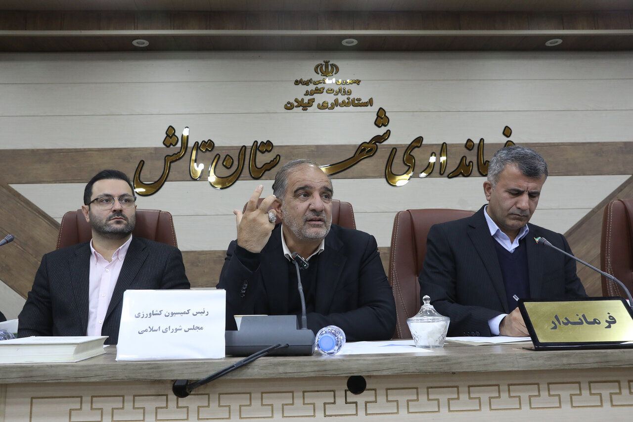 کیوی یکی از ظرفیت‌های صادراتی کشور است