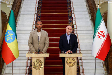 دکتر قالیباف: ایران به دنبال توسعه روابط با کشورهای آفریقایی