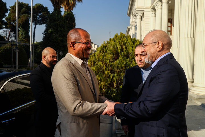 دیدار و کنفرانس خبری مشترک رؤسای مجالس ایران و اتیوپی