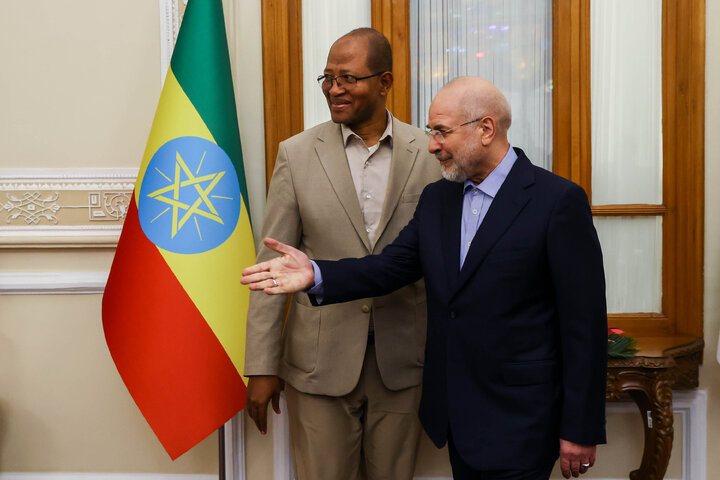 دیدار و کنفرانس خبری مشترک رؤسای مجالس ایران و اتیوپی