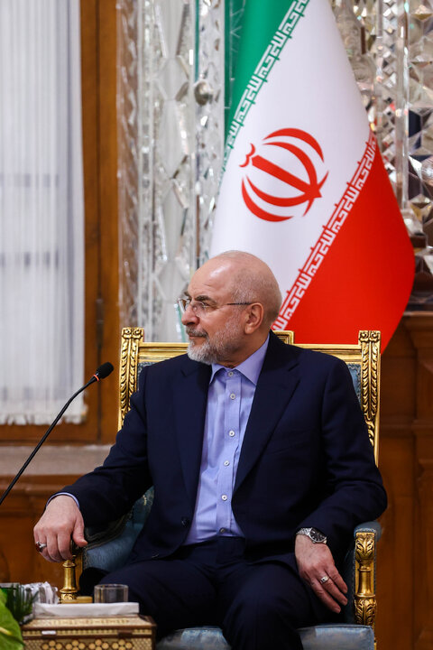 دیدار و کنفرانس خبری مشترک رؤسای مجالس ایران و اتیوپی