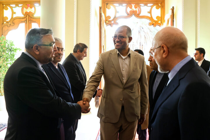 دیدار و کنفرانس خبری مشترک رؤسای مجالس ایران و اتیوپی