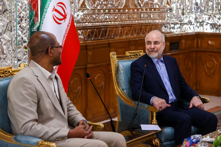 دیدار و کنفرانس خبری مشترک رؤسای مجالس ایران و اتیوپی