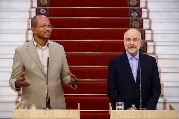 دیدار و کنفرانس خبری مشترک رؤسای مجالس ایران و اتیوپی