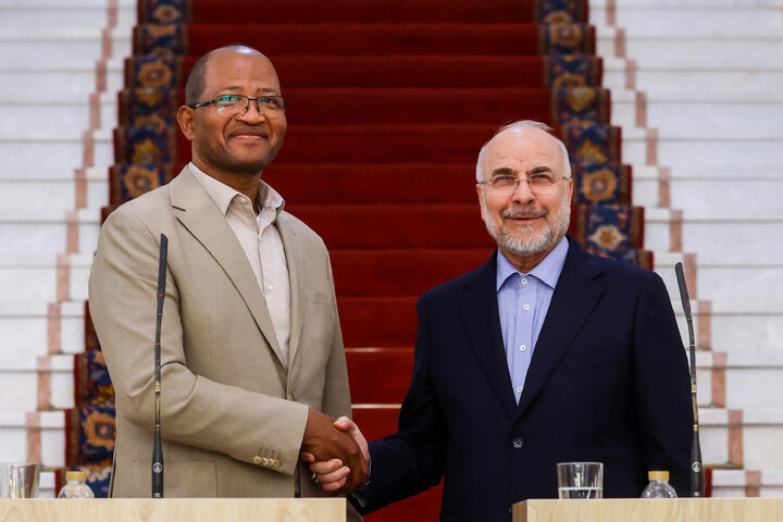 دیدار و کنفرانس خبری مشترک رؤسای مجالس ایران و اتیوپی